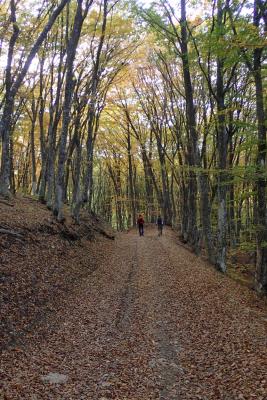 Прикрепленное изображение: PA172495_768x1152.JPG